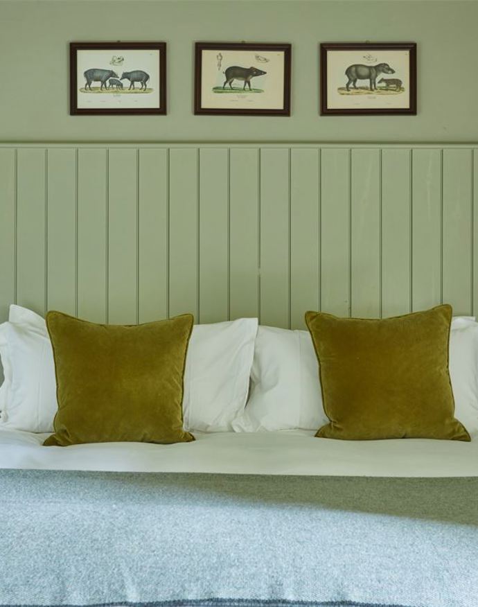 Comfy Rooms